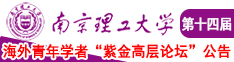 www.硬屌视频网站南京理工大学第十四届海外青年学者紫金论坛诚邀海内外英才！